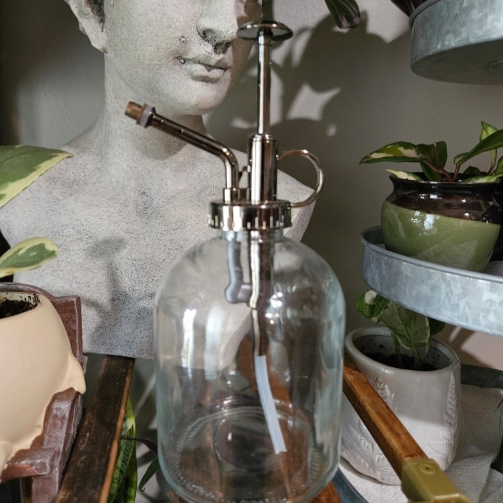 Clear Glass Plant Mister with Silver Accents